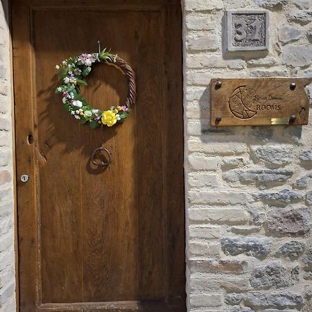 Luciae Domus Hotel Roccascalegna Buitenkant foto